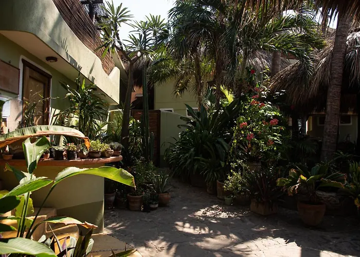 Posada y Pizzeria La Termita